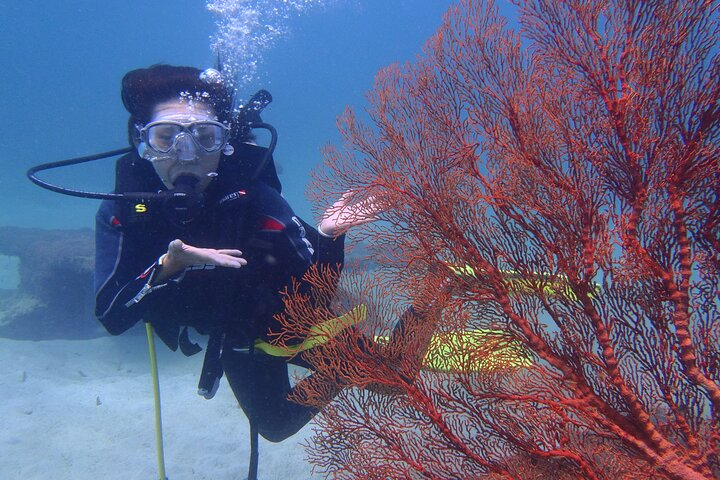 Bali Dive 1X