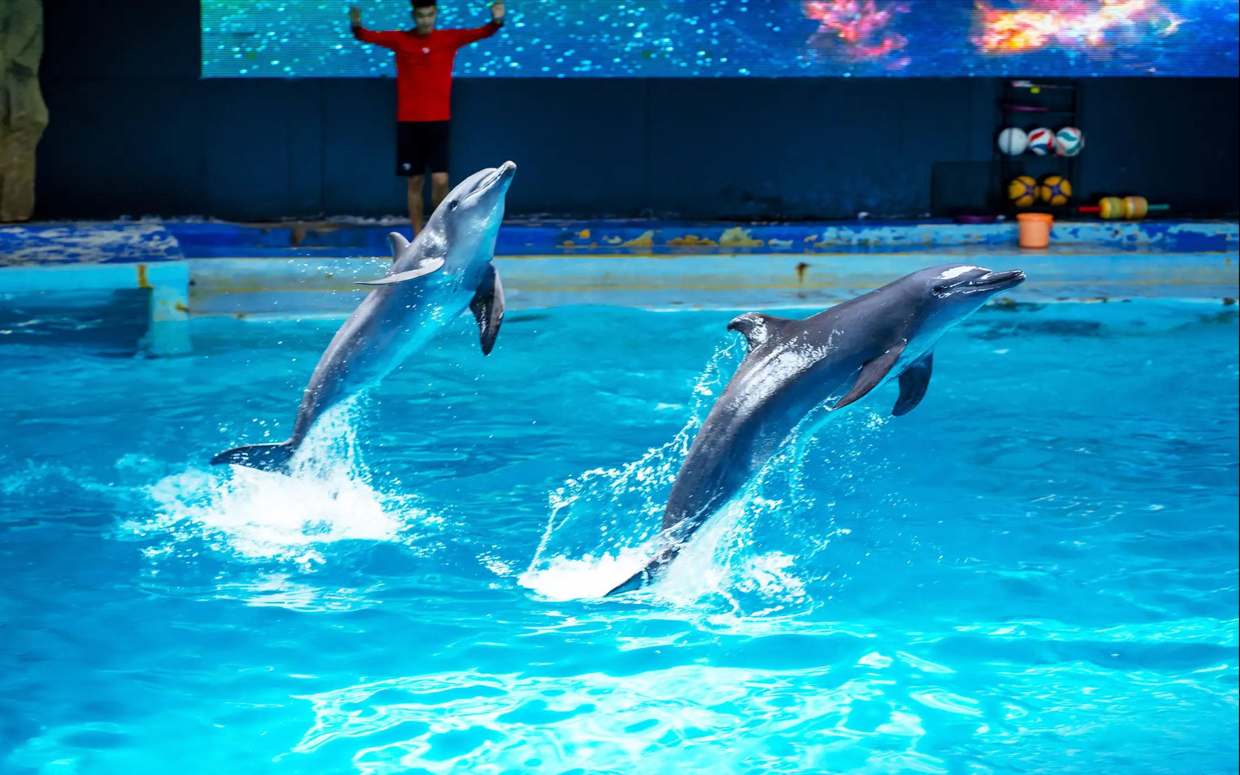 Ocean Dream Samudra Ancol Tickets - Photo 1 of 6