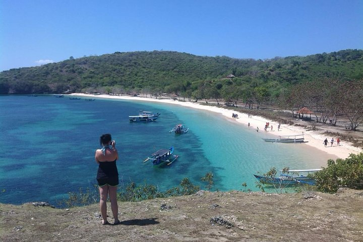 Pink Marine  - Photo 1 of 13