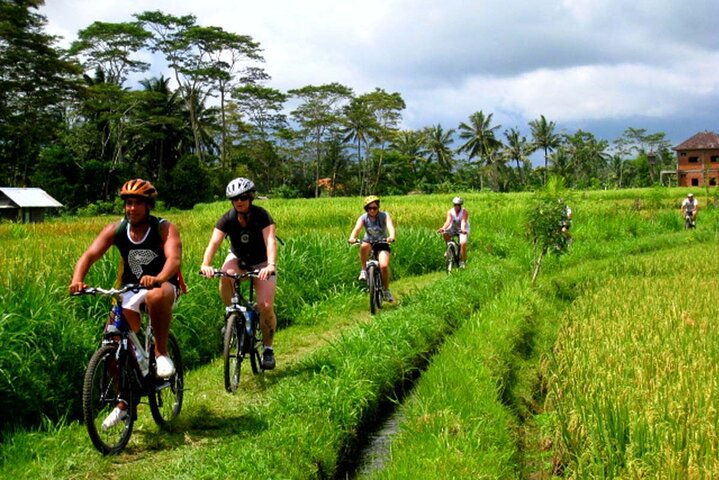 Private Bali Ubud Cycling - Photo 1 of 12