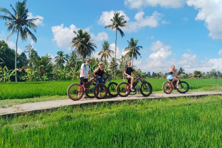 Private Fat Tire E-Bike Tour in Ubud - Photo 1 of 17