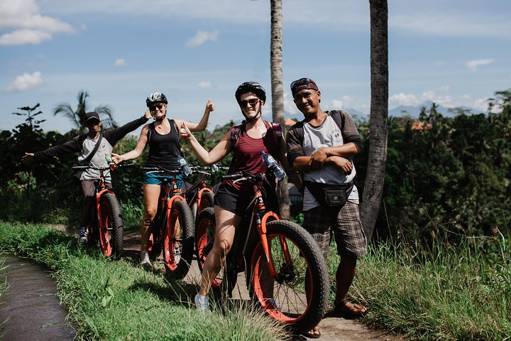 Private Fat Tire E-Bike Tour in Ubud - Photo 1 of 7