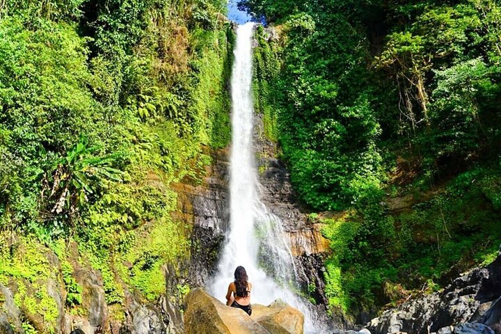 Private guided puncak day tour;Solo;Small Group - Photo 1 of 4