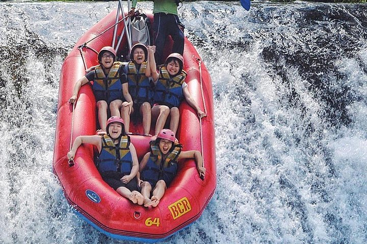 Private Rafting Experience in Ubud - Photo 1 of 2