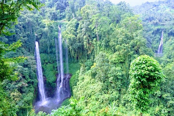 Sekumpul Waterfall 