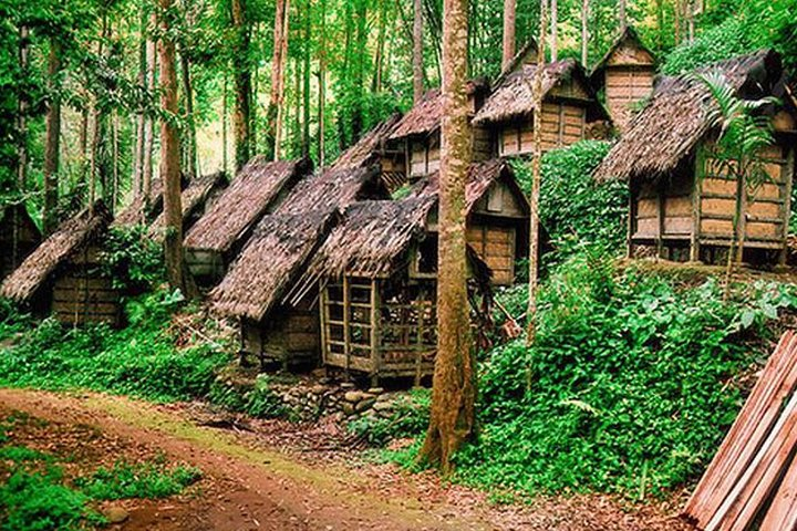 Private tour with lunch: Jakarta to Baduy tribal - Photo 1 of 16