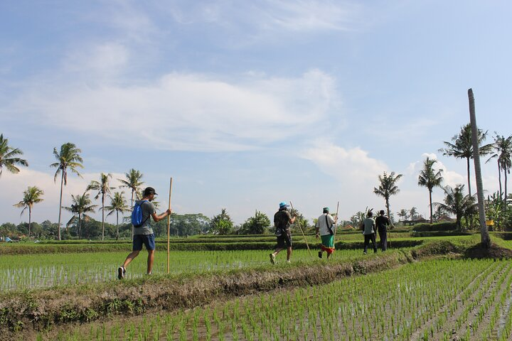 Bali Village Trekking Tour - Photo 1 of 25