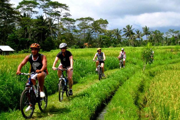 Kintamani Cycling Tour