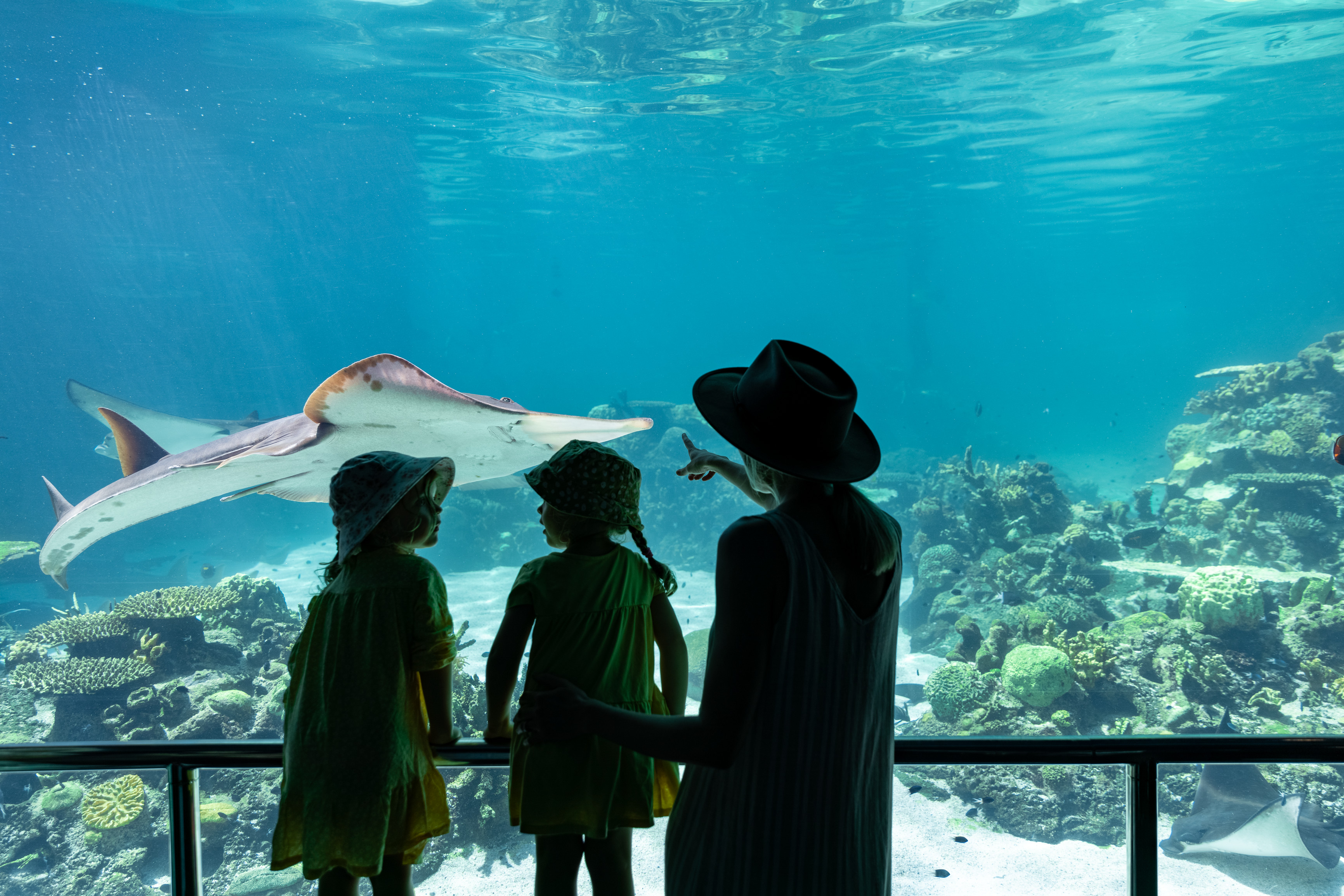 Sea World Ancol Tickets in Jakarta - Photo 1 of 5