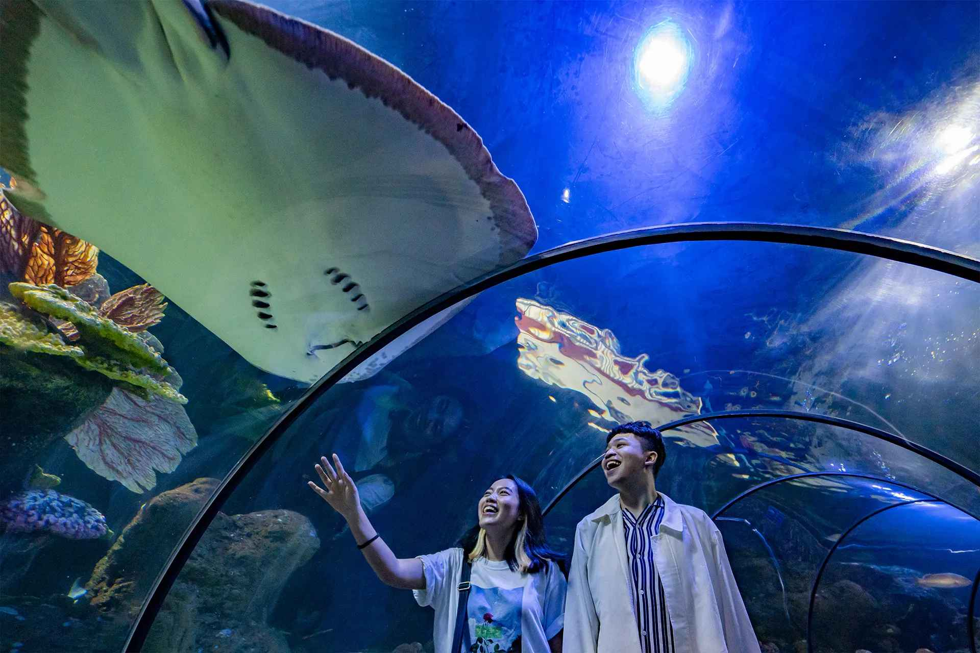 Sea World Ancol - Photo 1 of 5