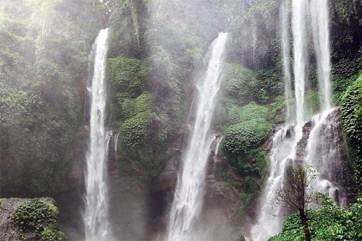 Sekumpul Waterfall Trekking 1