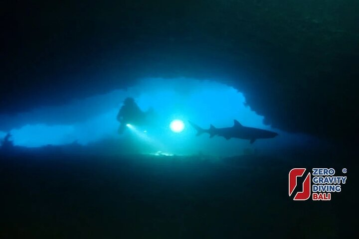Shark Cave Diving Tangked and Biaha 2 dives for certified divers - Photo 1 of 2