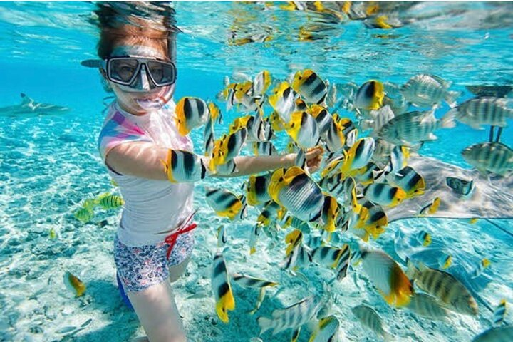 Snorkeling At Blue lagoon And Hidden waterfall - Photo 1 of 20