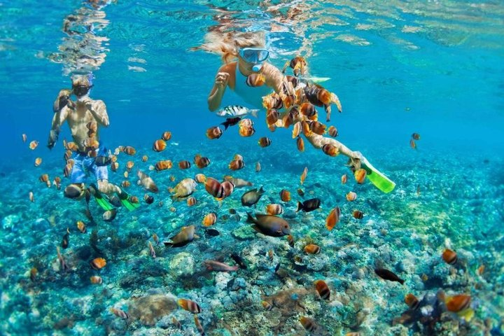 Bali Blue Lagoon Snorkeling with Lunch & Hotel Transfer - Photo 1 of 25