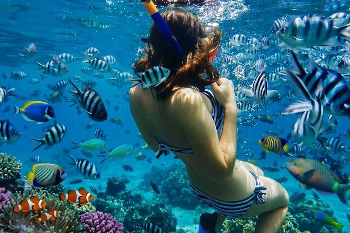Bali Blue Lagoon Snorkeling with Lunch & Private Hotel Transfer - Photo 1 of 25