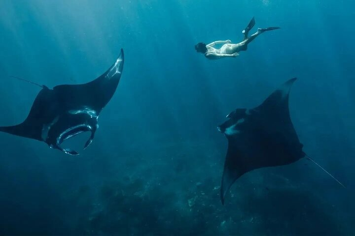 Nusa Penida Snorkeling Manta Rays & Land Tour West All Inclusive - Photo 1 of 25