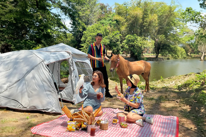 Solo Safari - Photo 1 of 9