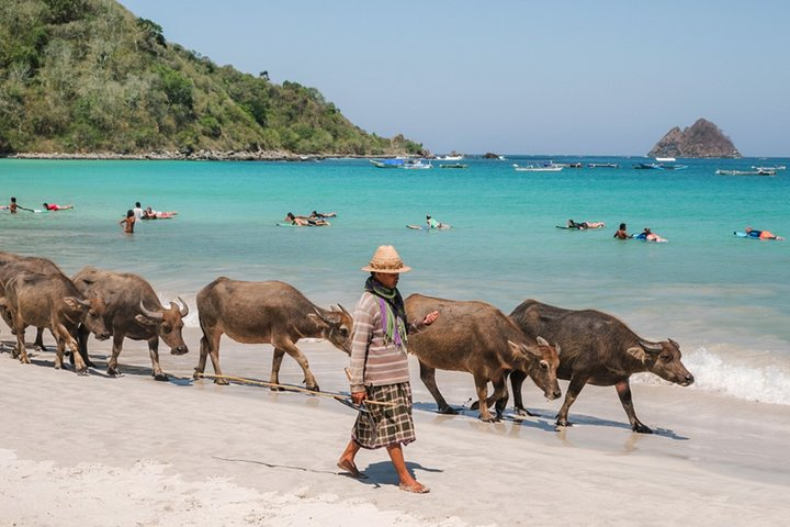 South Lombok Beaches Tour with Japanese-Speaking Guide - Photo 1 of 8