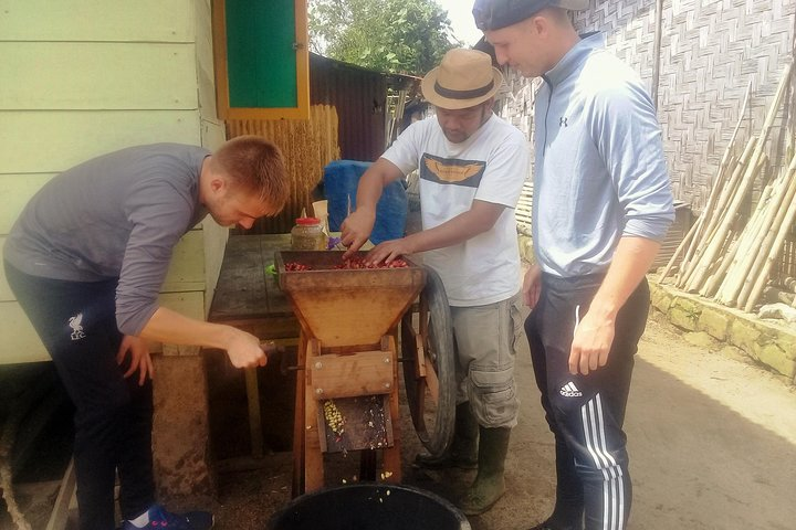 Sumatra Coffee Tour - Photo 1 of 7