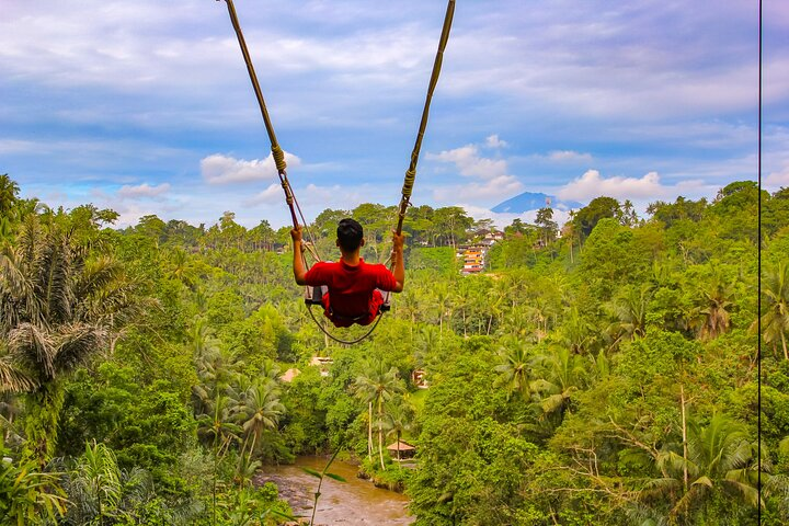 Swing & Swim at D’tukad Blangsinga and Ubud Temple Tour - Photo 1 of 11