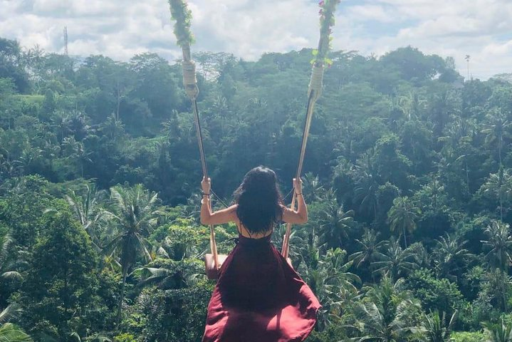 Swing & Swim Tour - Photo 1 of 5