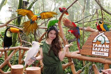 Taman Safari Indonesia Bogor - Photo 1 of 7