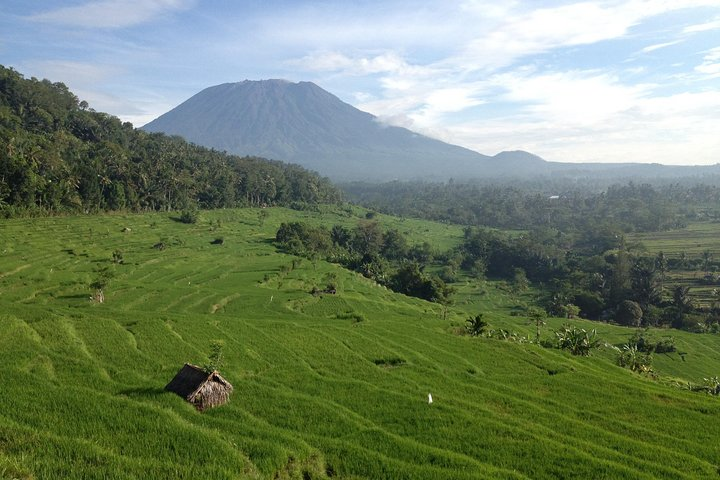 Mount Agung view from rice field track