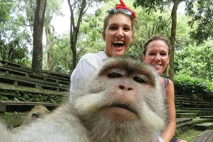 The Best Places to Explore Bali For 2 Days - Photo 1 of 25