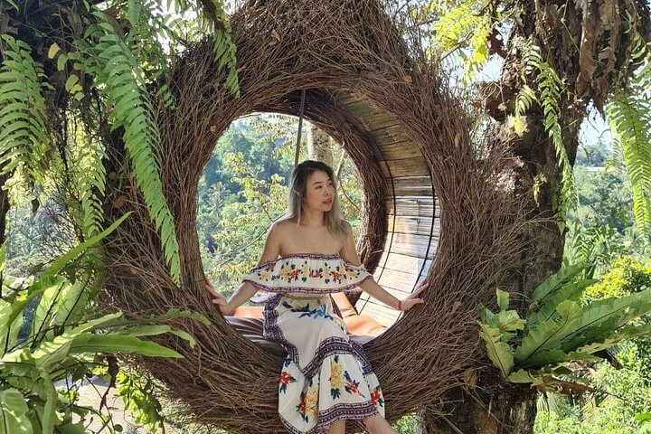 Beautifull bird nest