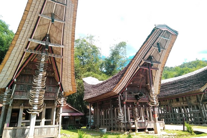 Toraja Cultural Exploration 4 Days - Photo 1 of 25