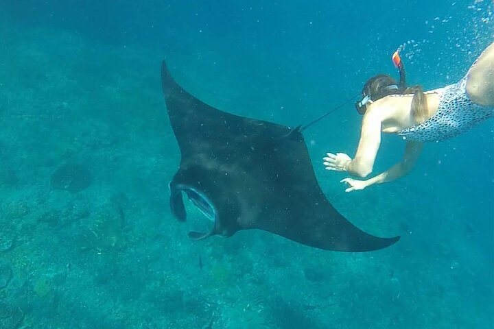 One Day Trip Nusa Penida Island and Snorkeling - Photo 1 of 19