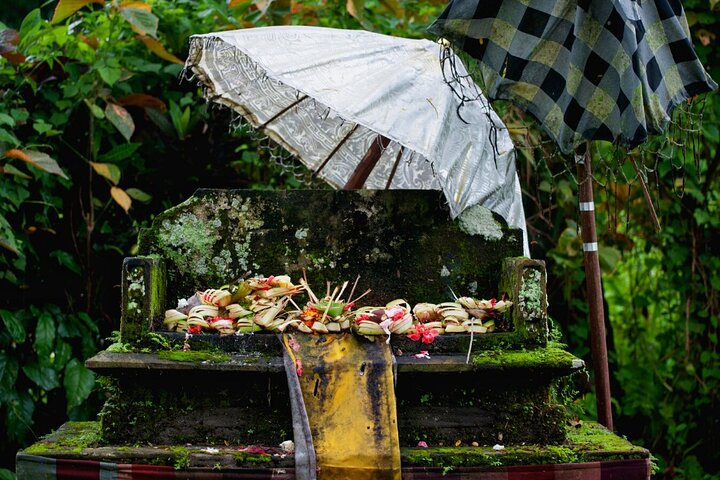 Transformative Journey of Holistic Self-Discovery - Photo 1 of 10