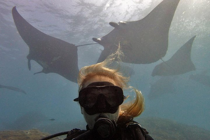 Try Diving at Manta Point Nusa Penida for non-certified divers - Photo 1 of 3