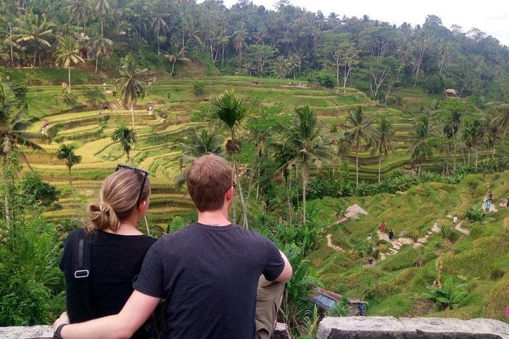 Ubud All Inclusive Sightseeing Tour - Photo 1 of 16