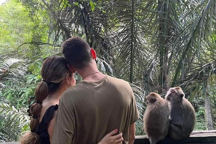 Monkey forest Ubud 