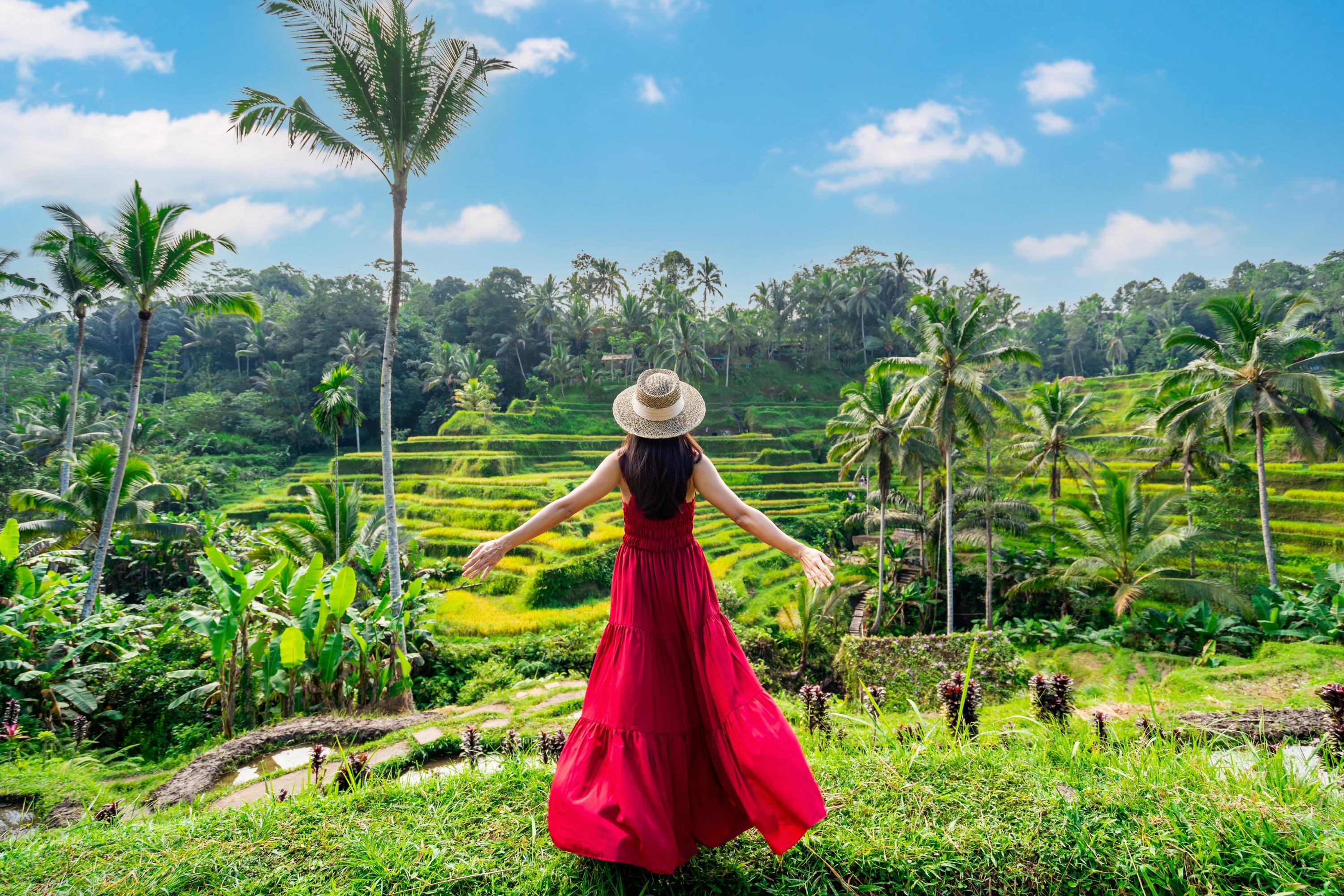 Ubud Customized Private Day Trip | 10-Hour Private Car Charter - Photo 1 of 12
