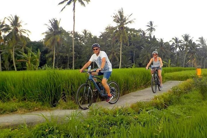 Ubud Bali Cycling Tour - Photo 1 of 6