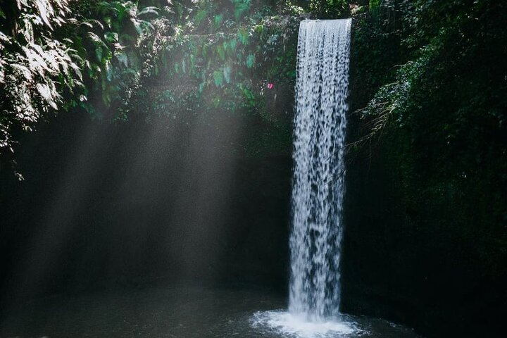 Experience the serene beauty of Ubud's hidden waterfalls surrounded by lush greenery as you unwind and reconnect with nature on this unforgettable journey through Bali's stunning landscapes.