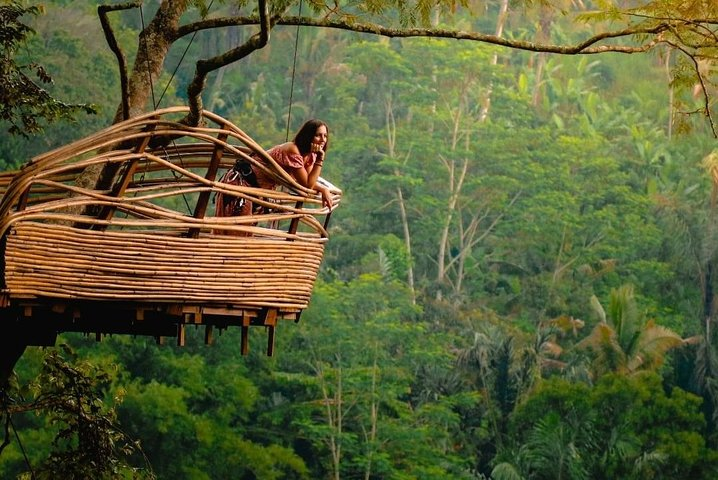 Ubud Highlights: Private Holy Water Temple Tour - Photo 1 of 7