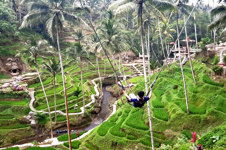 Feel the rush as you soar above lush rice terraces embracing the stunning landscape and the thrill of adventure. Perfect for those seeking unforgettable experiences in Ubud's stunning nature.