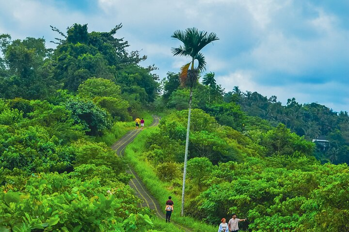 Ubud Trekking and Traditional Massage Experience - Photo 1 of 12