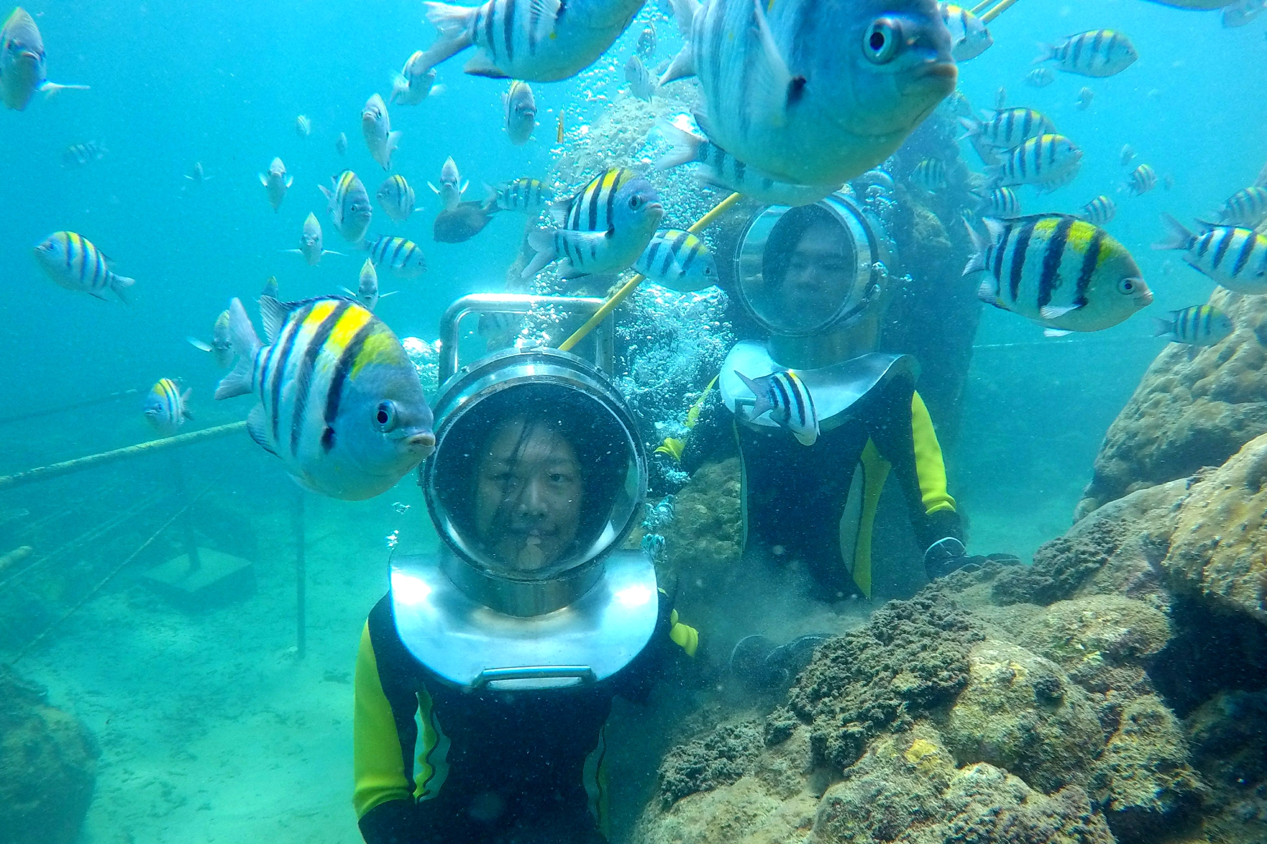 Experience the magic of Bali's underwater world by walking along the seabed connecting with colorful marine life while enjoying the freedom to breathe naturally and explore easily.