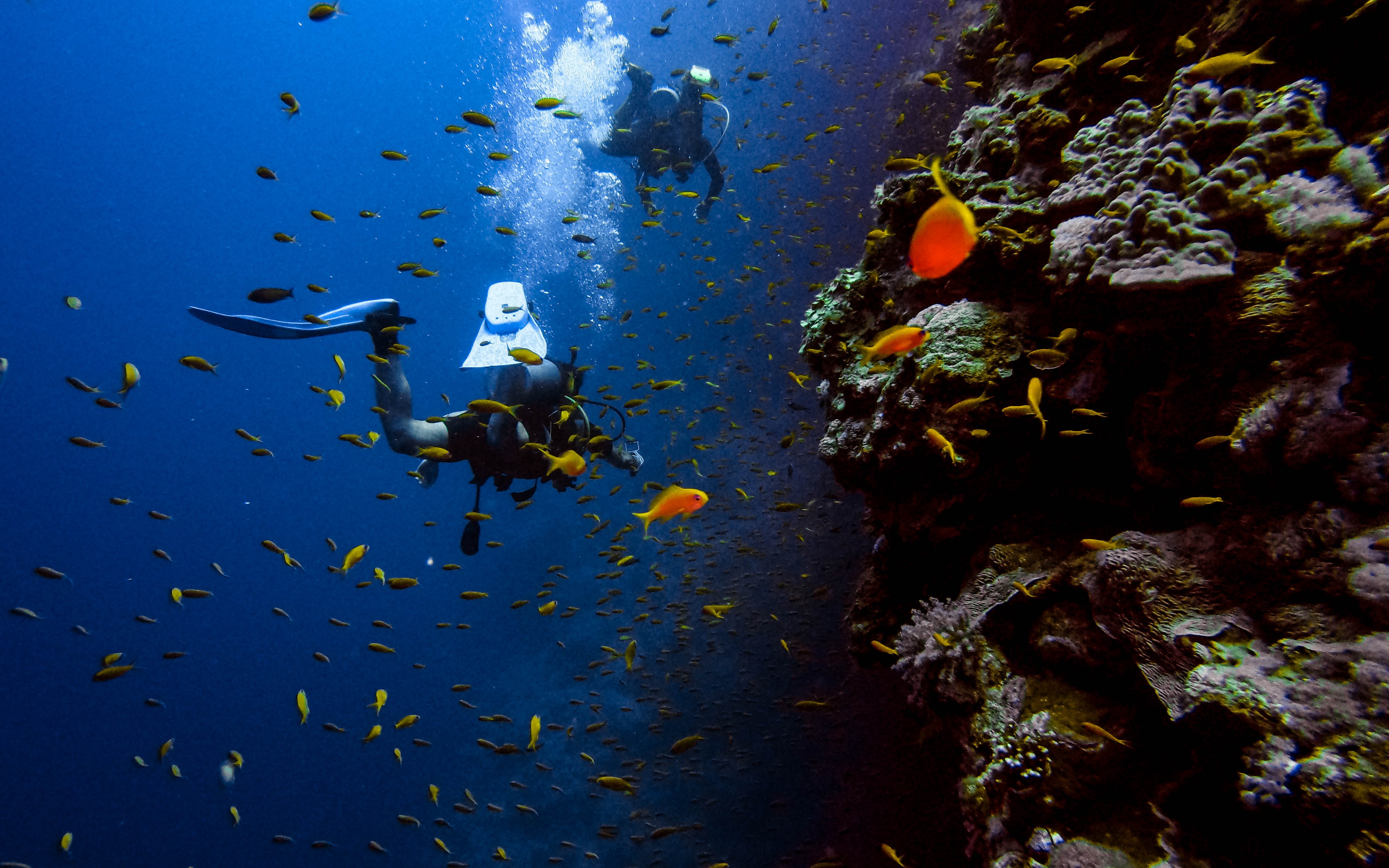 Immerse yourself in the underwater wonder of Tulamben’s coral reefs where colorful marine life dances around you during unforgettable dives at the historic USS Liberty Shipwreck.