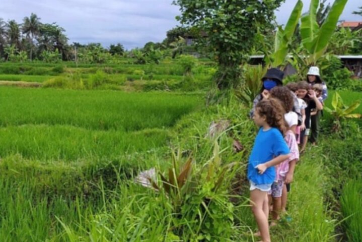 VILLAGE TOUR & RICE FIELDS TREKKING Jambangan Bali - Photo 1 of 25