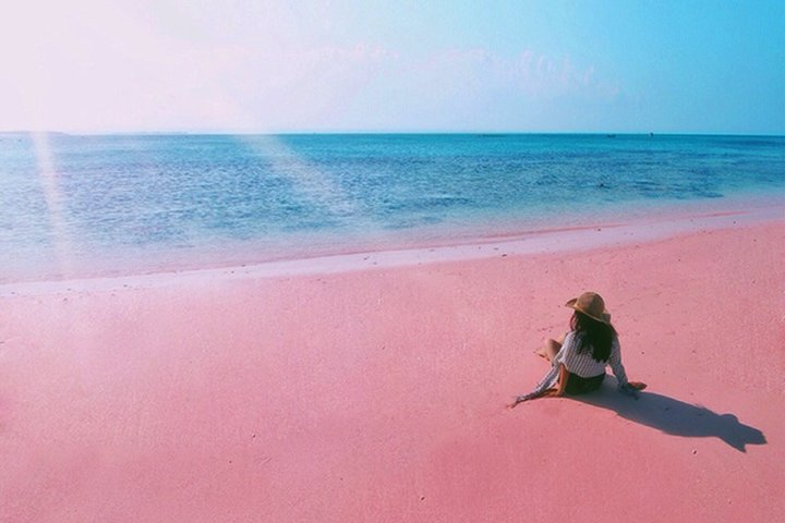Visite L'île de Lombok: Pittoresque plage rose avec Guide Francophone - Photo 1 of 7