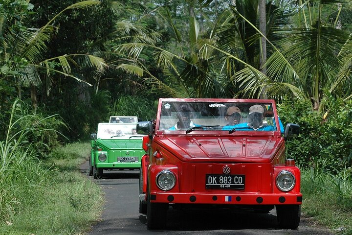 West Bali Discovery by Convertible Volkswagen - Photo 1 of 6