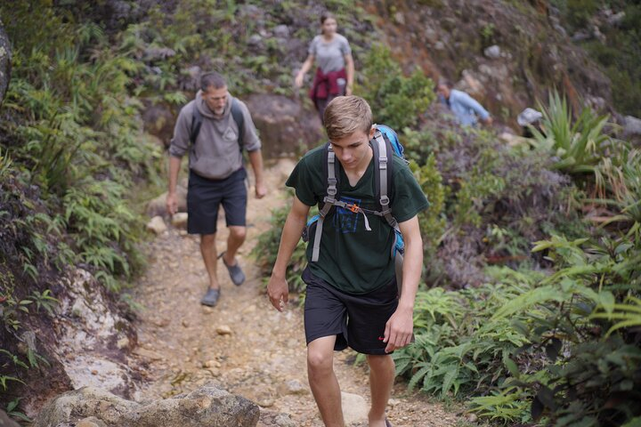 Wonderful 7 Days North Sumatra Tour (Include: 2 Days 1 Night Jungle Trekking) - Photo 1 of 13