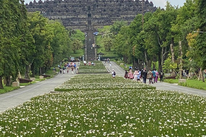 Private Car & Driver in Yogyakarta – Flexible, Customized Tours - Photo 1 of 25