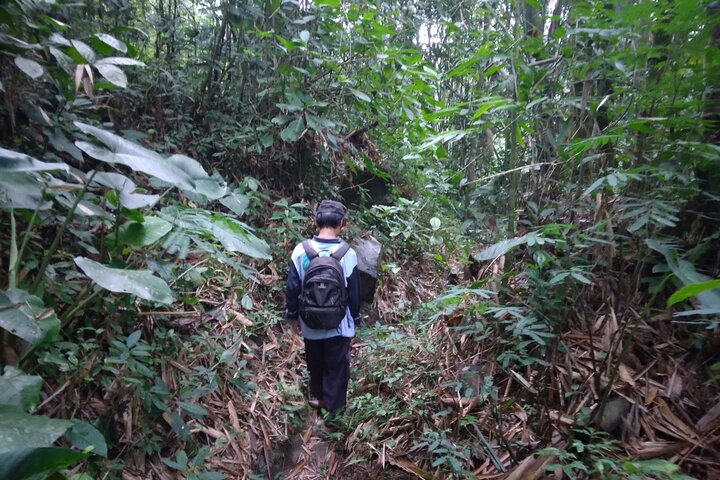 Yogyakarta Countryside Walking Tour - Photo 1 of 25