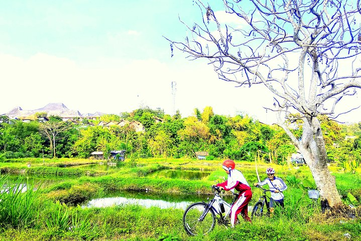 Cycling away from the hustle and bustle of the city towards nature passing by villages,rice fields,and fish farm,makes us feel fresh.